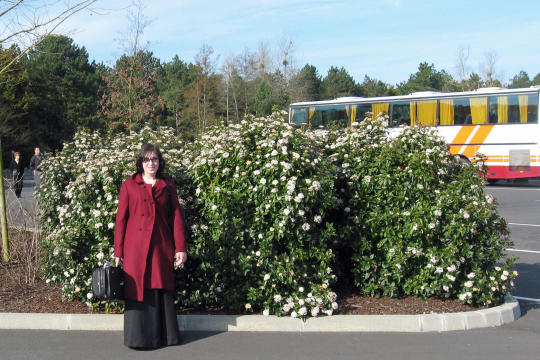 Parking lot for American Cemetery in Coleville