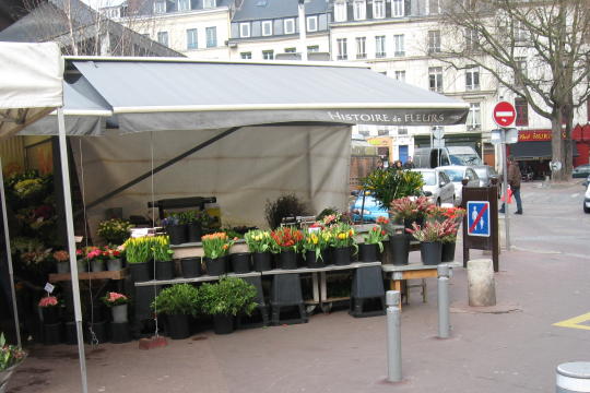 Florist near church of Ste Jeanne d'Arc in Rouen